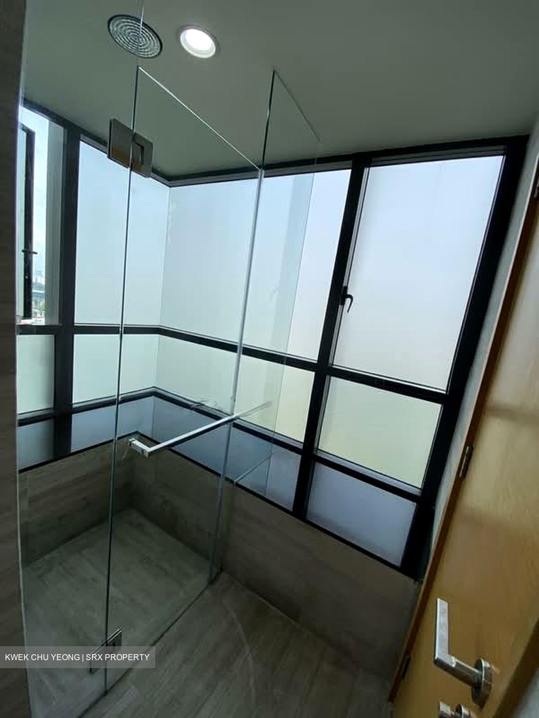 Cityscape @ Farrer Park (D8), Condominium #567832421
